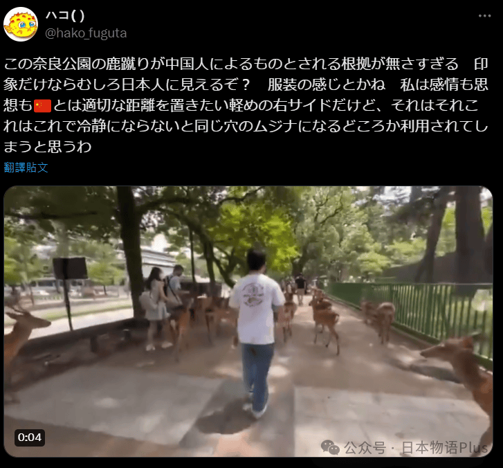 奈良鹿被游客踢飞视频疯传，网传是“中国游客”干的，不太像吧……
