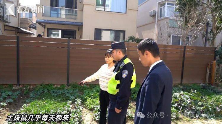上海一小区惊现土拨鼠：重达10斤，偷吃菜还咬电线！紧急提醒：不要摸