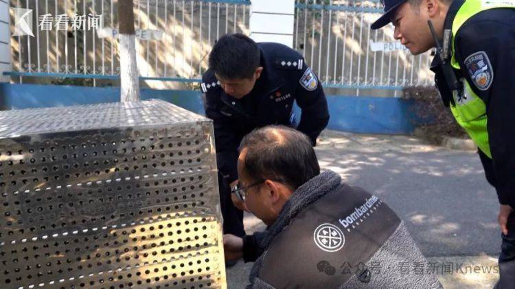 上海一小区惊现土拨鼠：重达10斤，偷吃菜还咬电线！紧急提醒：不要摸
