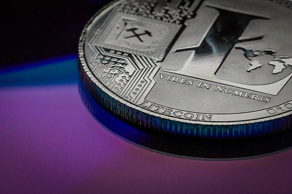 莱特币最新(莱特币最新消息报道)