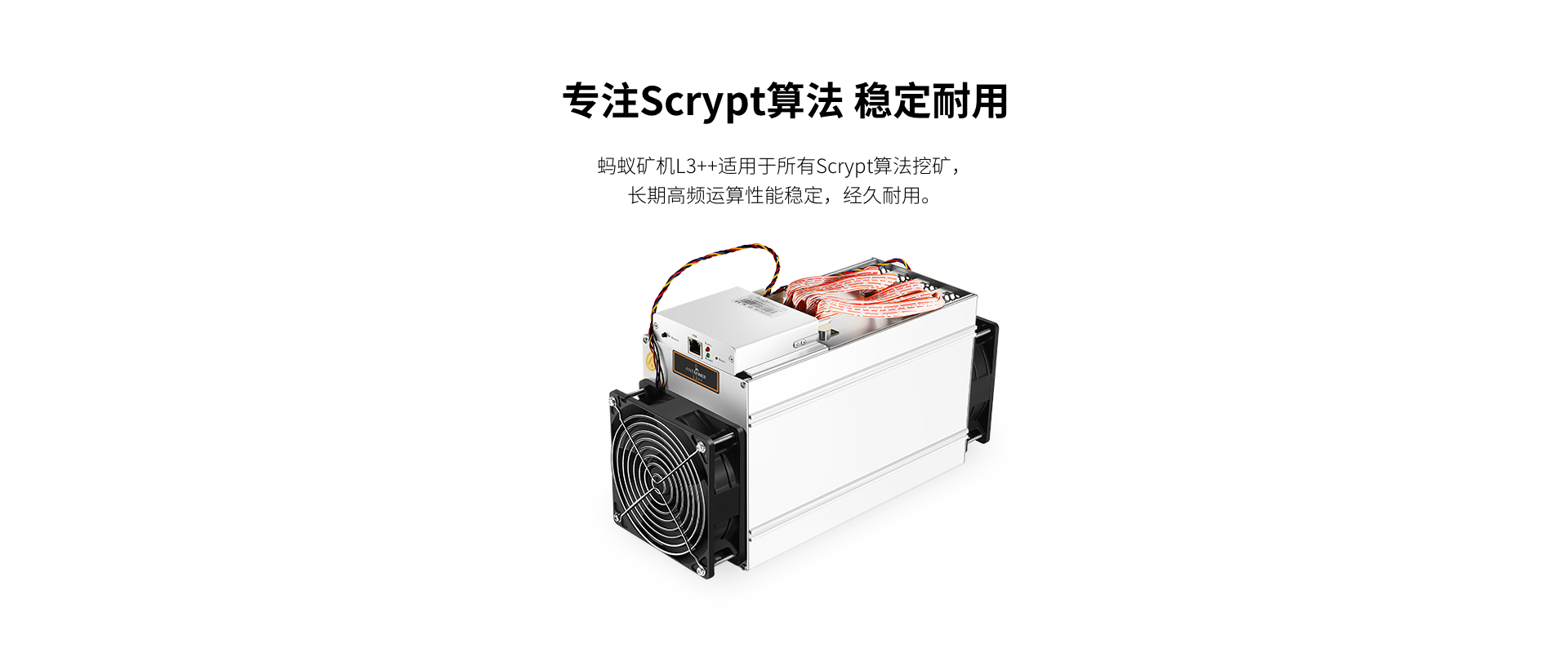 莱特币l3矿机(莱特币l3矿机今日报价)